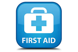 first aid train the trainer image first aid kit blue